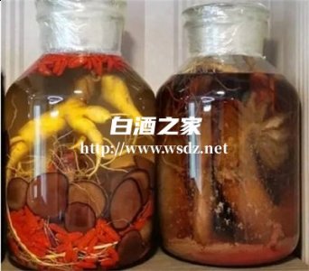 10斤白酒泡多少克鹿茸