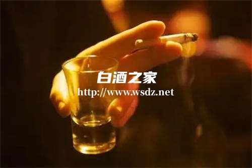 经常喝白酒容易头部出汗是为什么