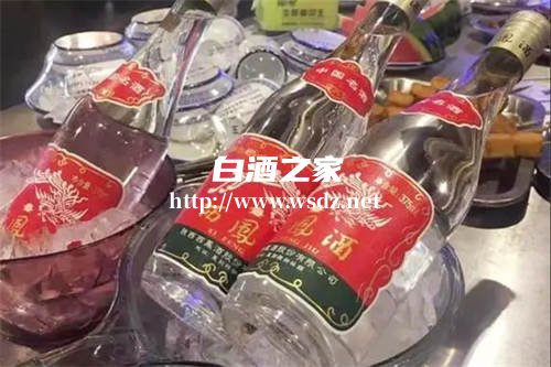 肩周炎可以适量喝白酒吗