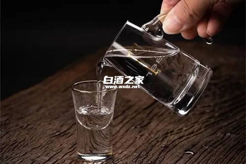 白酒公杯的正确使用方法