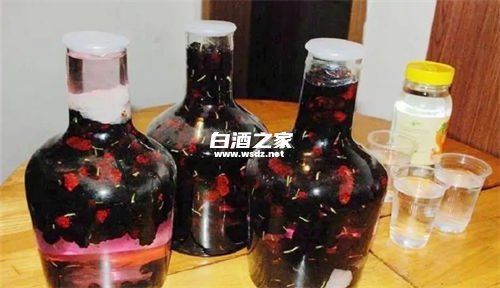 白酒泡桑葚的功效与作用