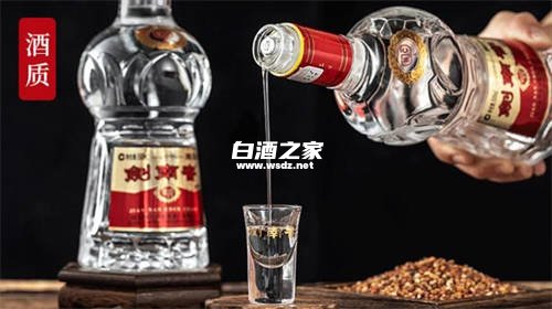 剑南春有46度的酒吗