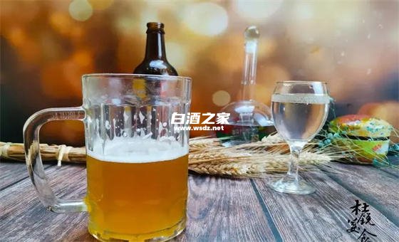 5两白酒等于几瓶啤酒