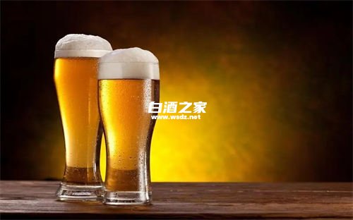 5两白酒等于几瓶啤酒