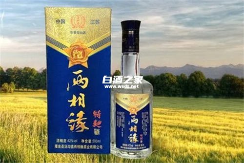 苏州人爱喝什么白酒品牌