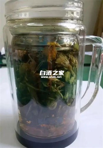 白酒如何泡蒲公英枸杞