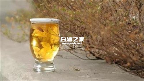 菊花泡白酒有什么功效