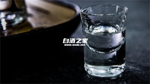 菊花泡白酒有什么功效