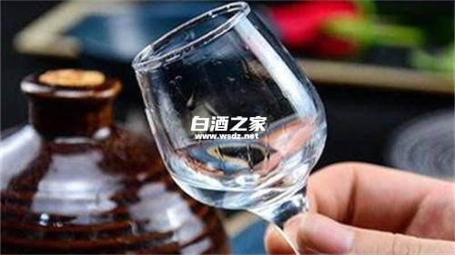 白术可以泡酒吗