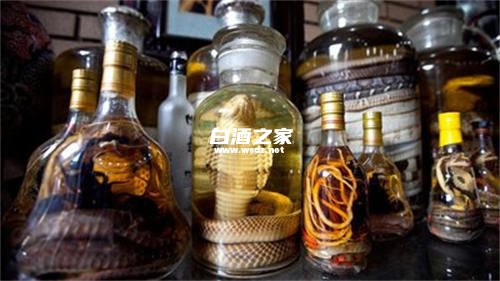 白酒泡蛇有什么功效