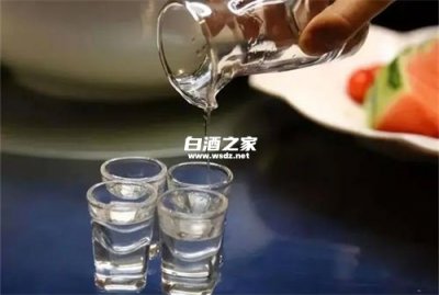 自己泡酒需要多少度白酒