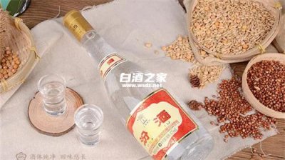 液态发酵酒是纯粮食酒吗