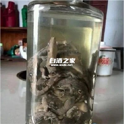 100克活壁虎泡多少白酒