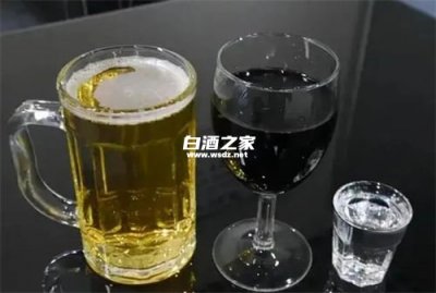 白酒啤酒喝多后吐酸水